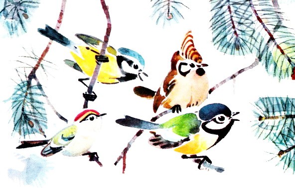 Птицы наших лесов - Снегирев Г.Я.