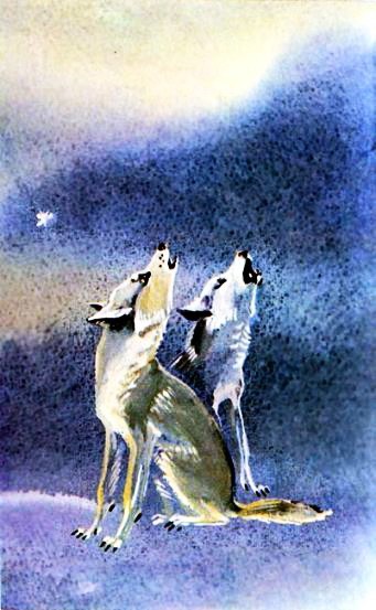 Отчего волк на Луну воет - русская народная сказка
